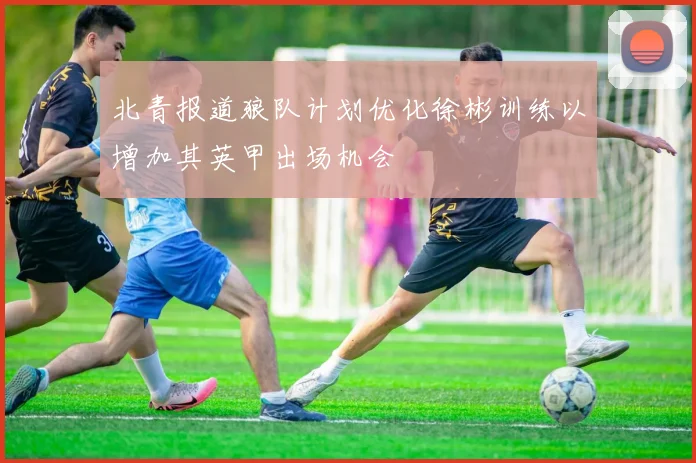 北青报道狼队计划优化徐彬训练以增加其英甲出场机会