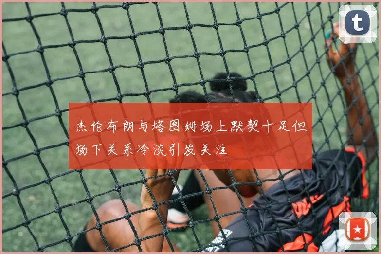 杰伦布朗与塔图姆场上默契十足但场下关系冷淡引发关注